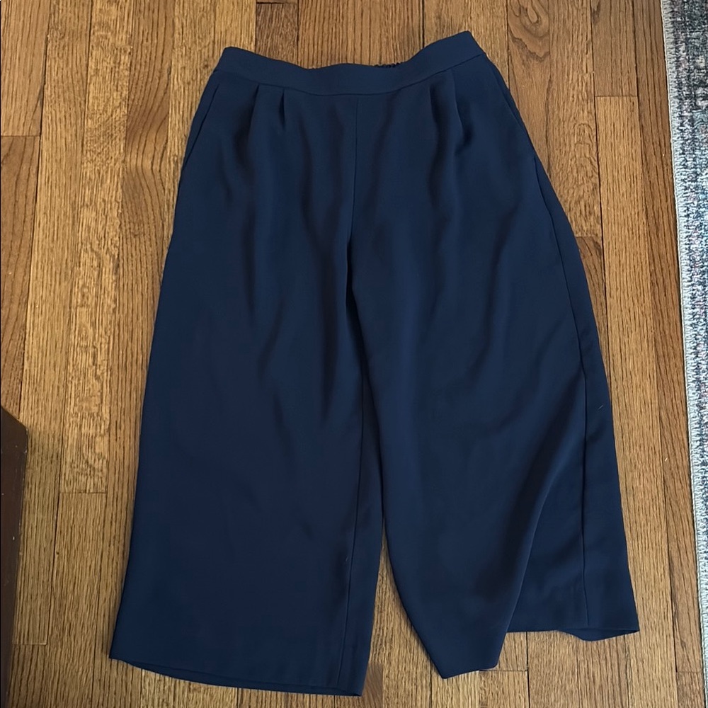J.Crew Navy Wide-Leg Pants